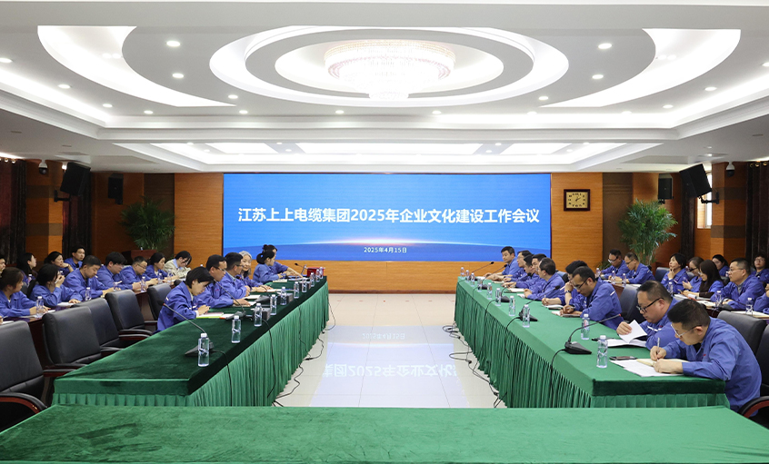 兴发娱乐电缆召开2025年企业文化建设事情聚会