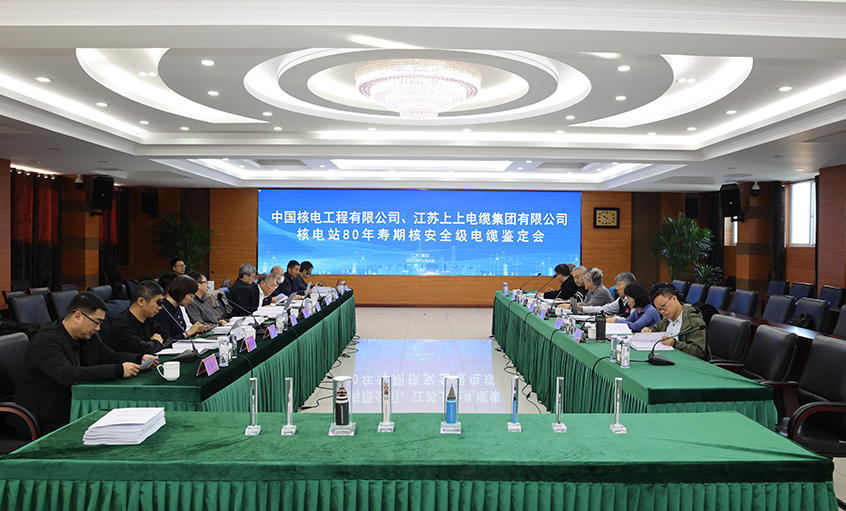 国际领先，兴发娱乐电缆“核电站80年寿期核清静级电缆”通过国家级判断